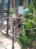 20180919_140855.jpg