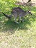 20180919_143452.jpg