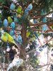 20180919_141034.jpg