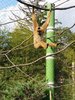 20180919_150347.jpg