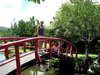 trip0153.jpg