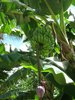 trip0159.jpg