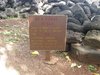 trip0121.jpg