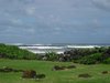 trip0122.jpg