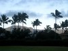 trip0125.jpg