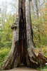 DSC_7031_DxO.jpg