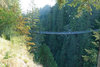 DSC_7198_DxO.jpg