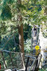 DSC_7166_DxO.jpg