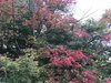 95213B9F-D096-49A2-8C6E-054882989B98.jpeg
