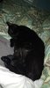 20181021_160439.jpg