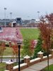 20181105_090206_HDR.jpg