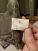 20181105_182515.jpg