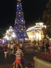 20181107_184312.jpg