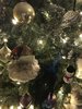 E6E26CD3-B80A-4173-B088-044CFC55BE2F.jpeg