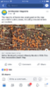 5505617E-4BD1-48BC-9F89-0742BAED66F0.png