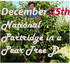 christmas avatar2.jpg