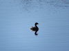 IMG_0231.JPG