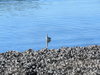 IMG_0263.JPG