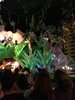 6E2B0910-ED20-4853-88A5-7D35DF582996.jpeg