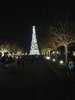 1F39BC46-72CC-4D87-81D6-78EF16A095B6.jpeg
