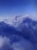 0ED96523-83A8-4A53-8929-69AAAE48E8DC.jpeg