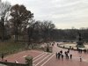 72C09D92-8BCD-4A32-A983-159BD967AE14.jpeg