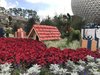 719D848C-F169-4AE9-86DA-FE4A0124546B.jpeg