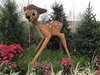 3D8BD4CE-C6E2-4021-8EFB-BC539E326504.jpeg