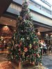 8F625A85-C777-4486-8B89-FFF6001DEC00.jpeg
