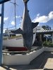 0D7318D0-D72E-4EA7-809E-39DBBCEC9255.jpeg