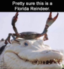 1547463083665.png