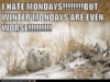 1548106901037.png