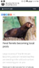 Screenshot_2019-01-23-23-11-51.png