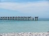 IMG_1626.JPG