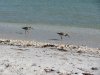 IMG_1635.JPG