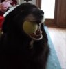 20130804_180230_LLS.jpg 2.jpg