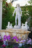 DSC_8081_DxO.jpg