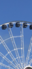 A65C5D2A-472C-47A3-AE54-AF3CE8A411F5.png