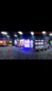 306B9DE3-1B9D-430F-8A02-2587F76C3DA8.png