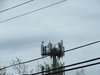 IMG_1194.JPG