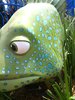 art of an fish 2.jpg