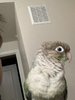 5C5F2678-AD68-40B6-8E39-2010B315D7E1.jpeg