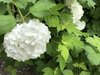 6CB1C194-C5E3-469A-9050-3226B60F2028.jpeg
