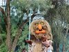 st-sweetums.jpg