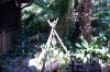jungle cruise.jpg