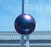 uni.gif
