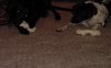 dsc00044.jpg
