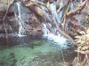 20020612-004a.jpg