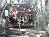20010628-001.jpg