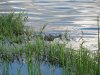 IMG_2641.JPG